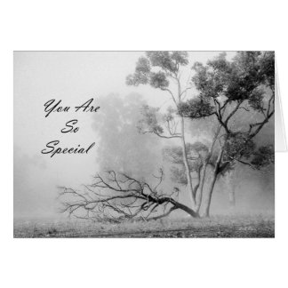 Sie sind so speziell