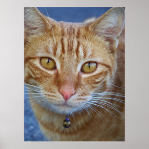 Sie sind speziell_ Poster_by Elenne Boothe Poster