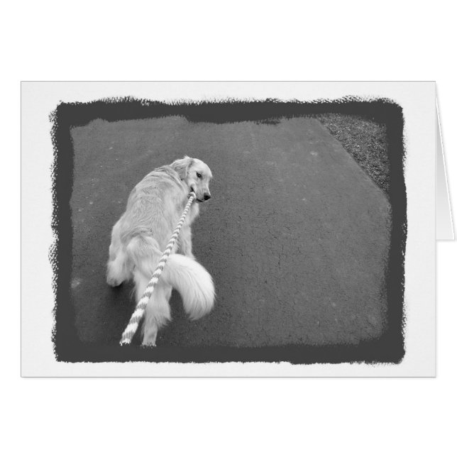 Sie sind stark! (Vorderseite (Horizontal))