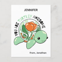 Sie sind Turtley Phantastische Blume Sukkuline Tur