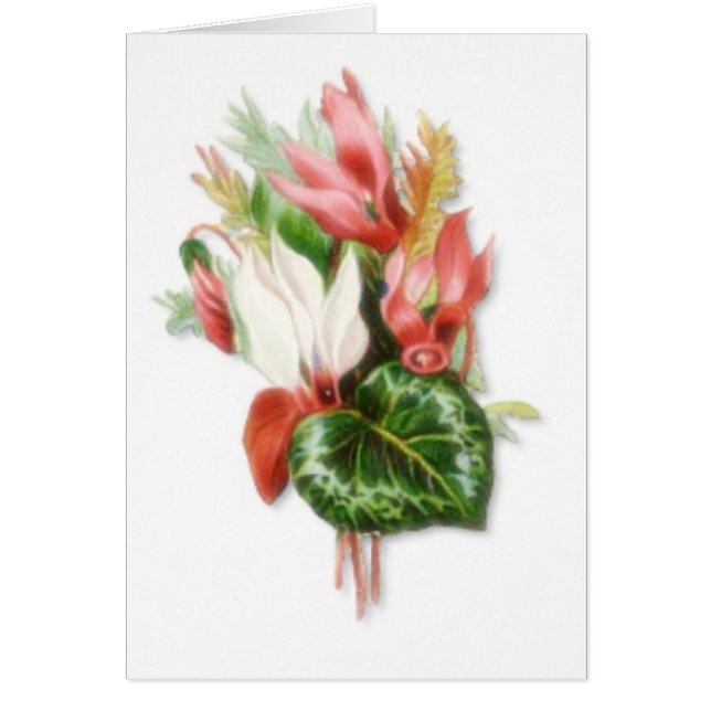 Sie sind willkommen (Vorne)