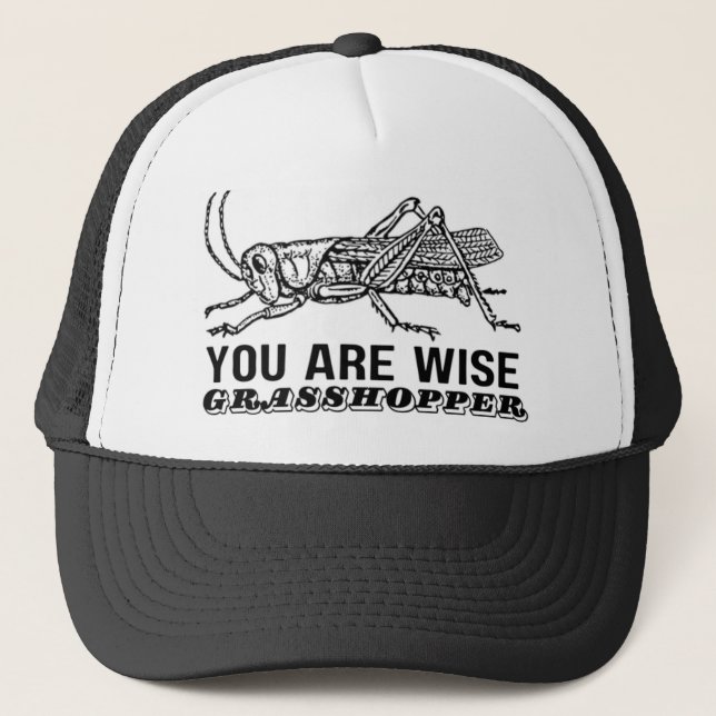 SIE SIND WISSER GRASSHOPPER TRUCKERKAPPE (Vorderseite)