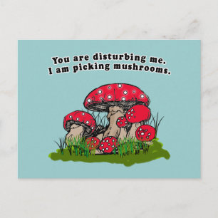 Sie stören mich. Ich pflücke Pilze-T-Shirt Postkarte