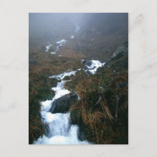 SIE, UNTERGEBUNDEN POSTKARTE