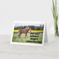 SIE WAREN NUR 15 GESTERN, SAGT DIE HORSE CARD