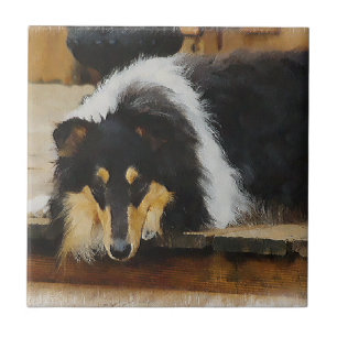 Sie wartet Tri Collie Fliese
