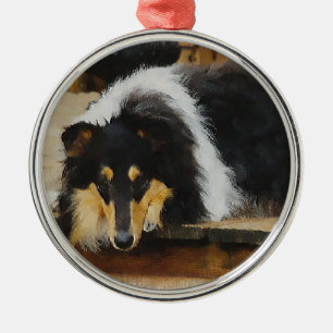 Sie wartet Tri Collie Ornament Aus Metall