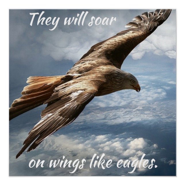 Sie werden auf Flügeln wie Adler Motivierend steig Poster (Vorderseite)