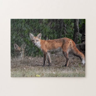 Sie werden beobachtet