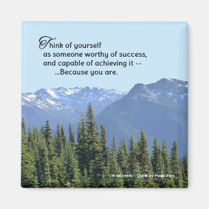 Sie werden erfolgreich sein...Inspirationssatz Magnet