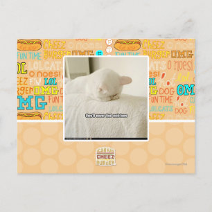 Sie werden mich hier nie finden postkarte