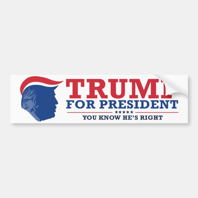 Sie wissen, dass er recht hat - ReTrumplican.png Autoaufkleber (Vorne)
