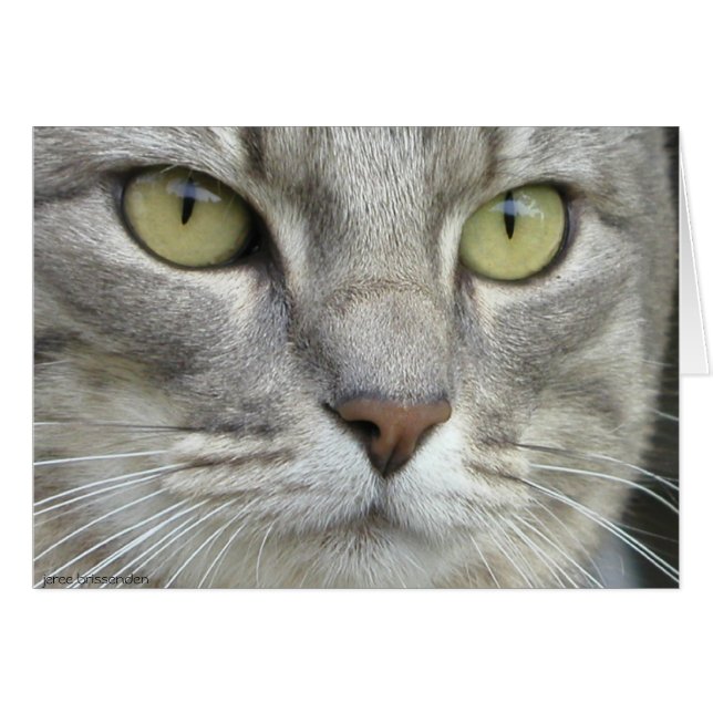 Sieben (Vorderseite (Horizontal))