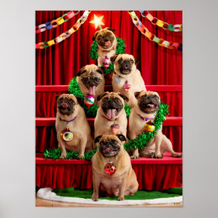 Sieben Mops Poster