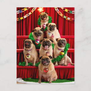 Sieben Pugs beim Posieren Einladungspostkarte