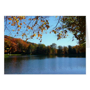 Sieben Quellen fallen Bäume und Teich