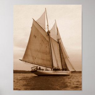 Sieben Segel auf der Salish-See Poster