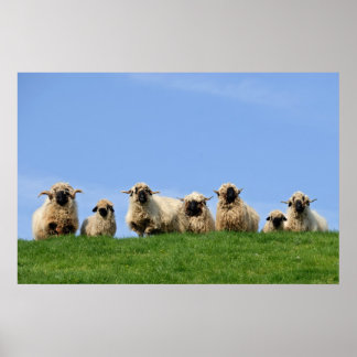 sieben seltsame Regenschaf Poster