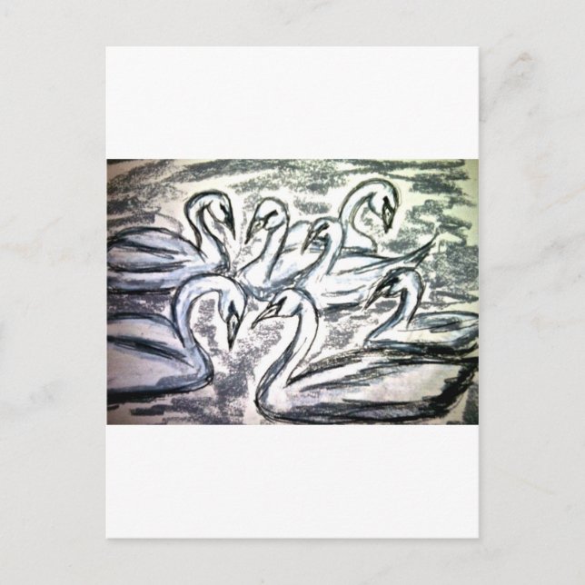 Sieben Swans zum Schwimmen Postkarte (Vorderseite)