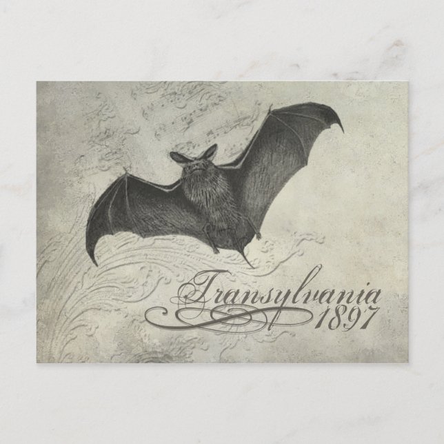 Siebenbürgen, 1897 Bat Collage Post Card Halloween Postkarte (Vorderseite)