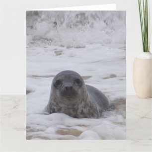 Siegel - Animal Foto druckt große Grußkarte Karte