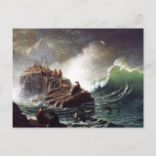 Siegel auf den Felsen, Farallon - Bierstadt Postkarte