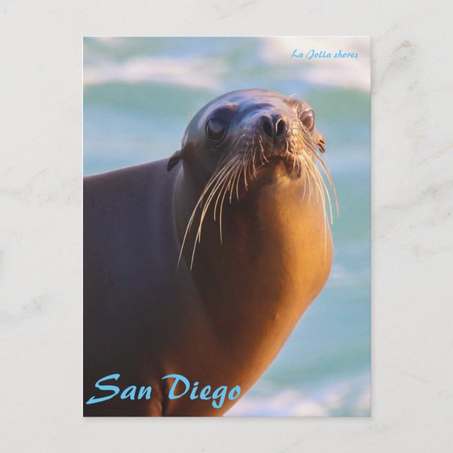 Siegel der Genehmigung Postkarte (Vorderseite)
