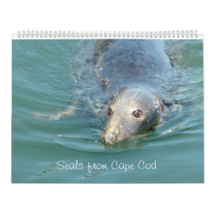 Siegel des Cape Cod-Kalenders Kalender