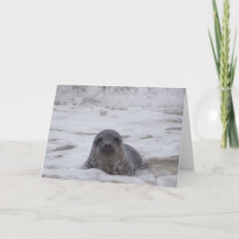 Siegel - Foto Farbe Farbe drucken Grußkarte Karte