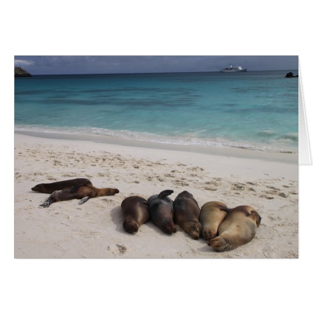 Siegel-Karte (Vorderseite (Horizontal))