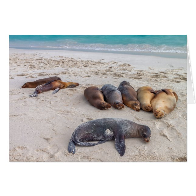 Siegel-Karte (Vorderseite (Horizontal))