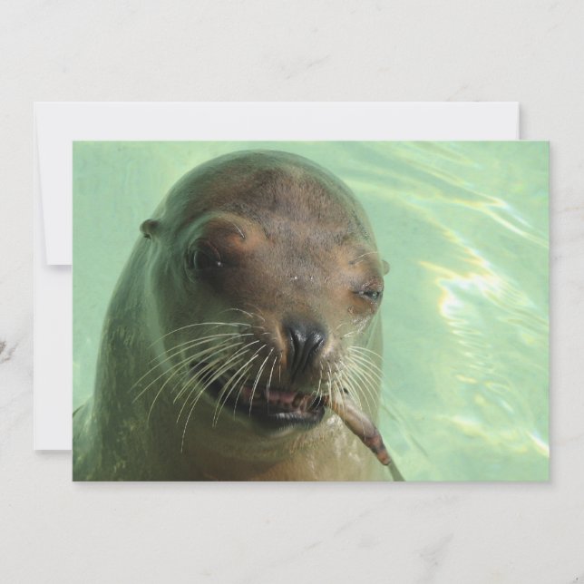 Siegel mit Fisch-Einladung Einladung (Vorderseite)