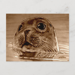 Siegel-Northsea Postkarte