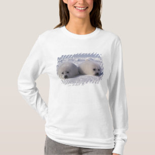 Siegel (Phoca groenlandica) Siegel-Jungtiere T-Shirt