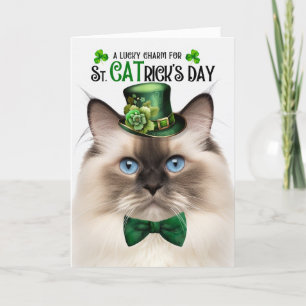 Siegel Point Ragdoll Lucky Charm St CATrick's Day Feiertagskarte