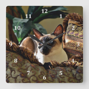 Siegel Point Siamese Cat on Comfy Pillow Quadratische Wanduhr
