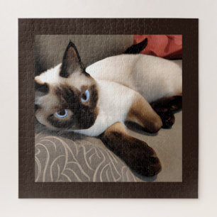 Siegel Point Siamese Digitales Portrait