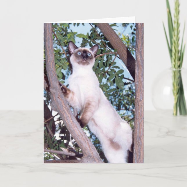 Siegel Point Siamese Grußkarte Karte (Vorderseite)