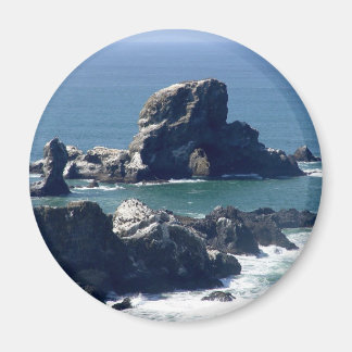 Siegel Rock Ecola Staat Park Oregon Coast Magnet