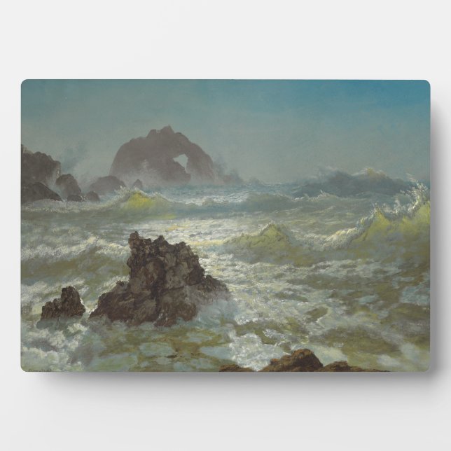 Siegel Rock, Kalifornien, c.1872 Fotoplatte (Vorderseite)