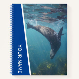 Siegel Schwimmen unter Wasser, Australien, Blau Notizbuch
