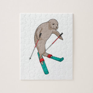 Siegel Skier Ski