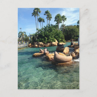 Siegel und Seelöwen Postkarte