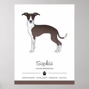 Siegel und weißer italienischer Windhund mit indiv Poster
