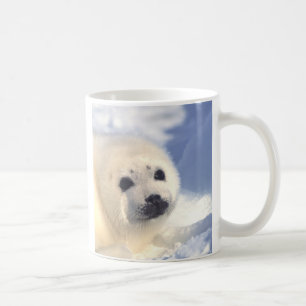 Siegel-Welpen-Gesicht Kaffeetasse