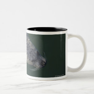 Siegelschwimmen unter dem Wasser 2 Zweifarbige Tasse