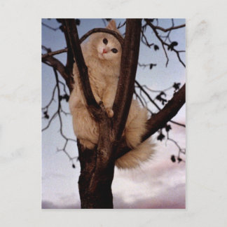 Sieh mich an! postkarte