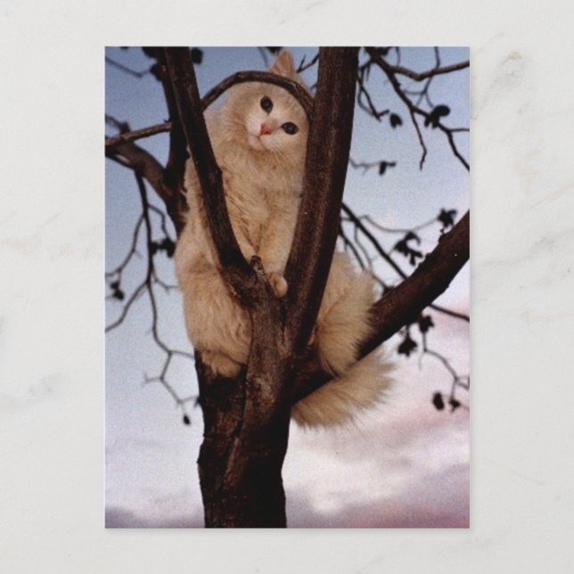 Sieh mich an! postkarte (Vorderseite)