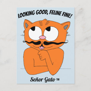 "SIEHT GUT AUS, FELIDE FEIN!" Süße Schnurrbartkatz Postkarte