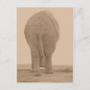 Sieht mein Kaugummi groß aus Postkarte